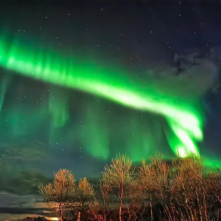 Northern Lights Midtgaard, Kvaloya Modern 2br, Free Parking * טרומסה