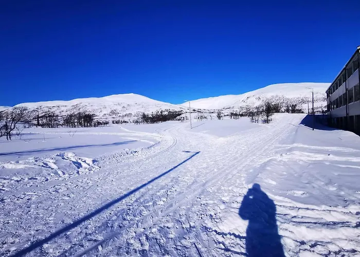 Northern Lights Midtgaard, Kvaloya Modern 2br, Free Parking Тромсё